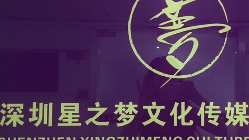 MG动画素材分类解析：解锁创意无限之门